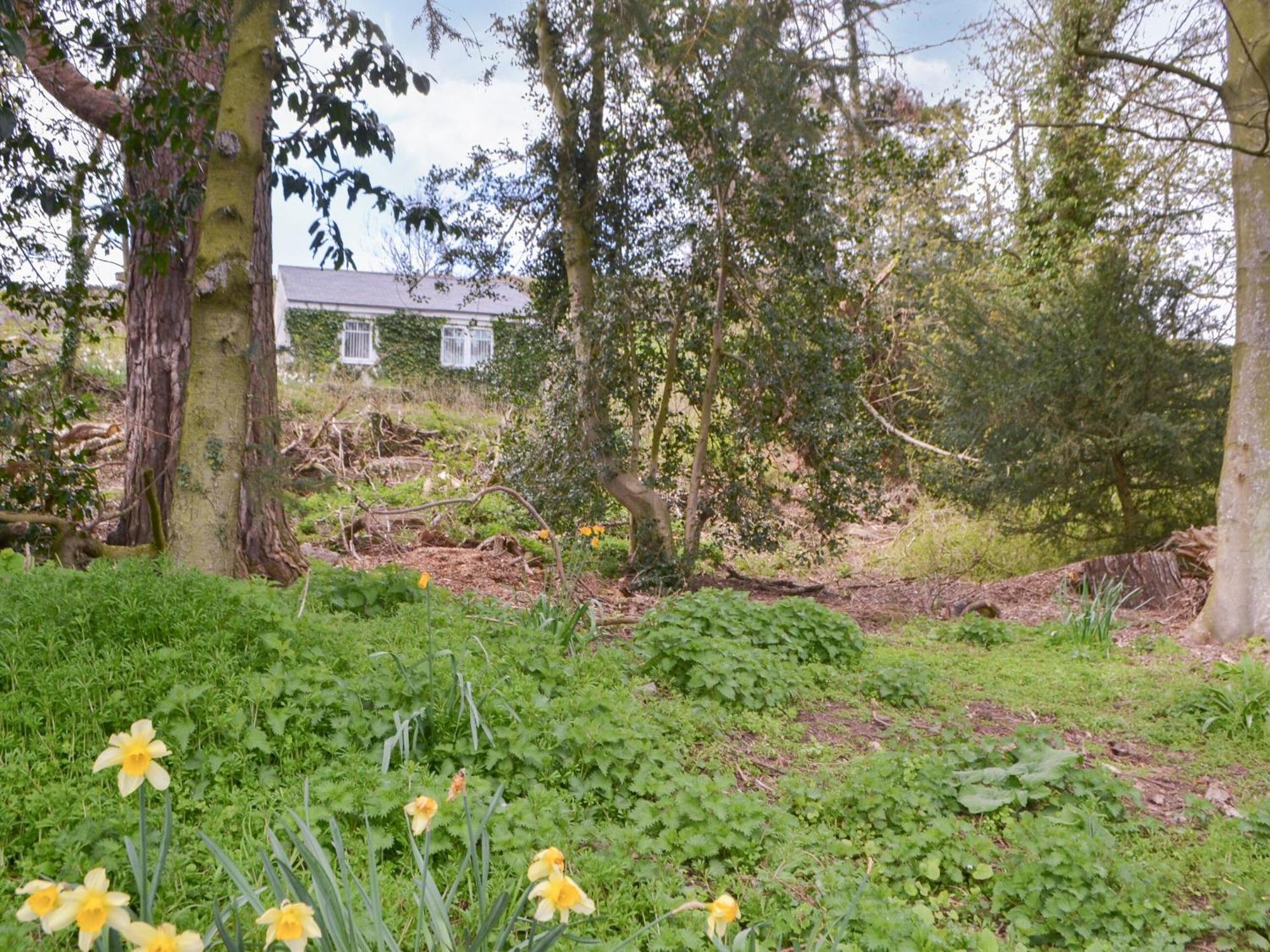 Maisies Cottage Earle 외부 사진